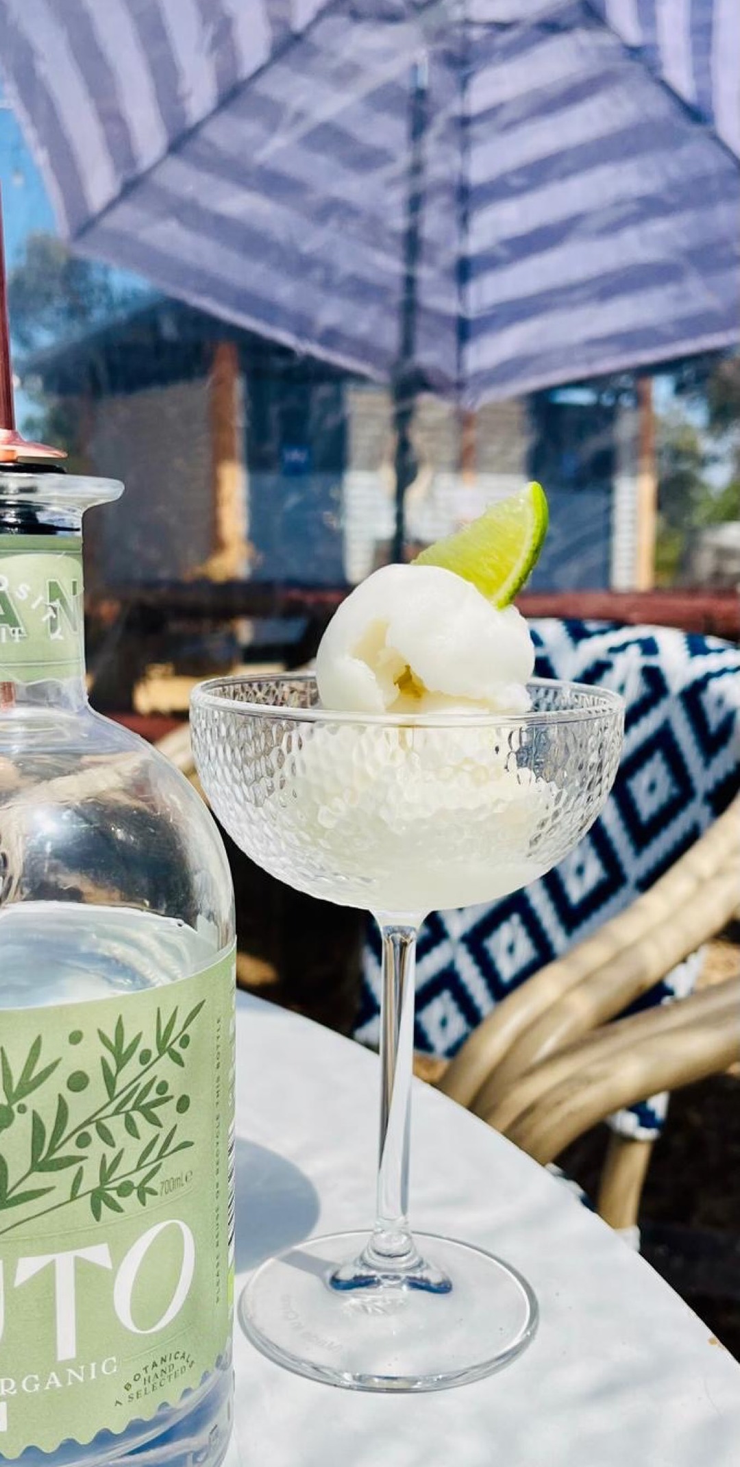 Organic gin with gelato cocktail