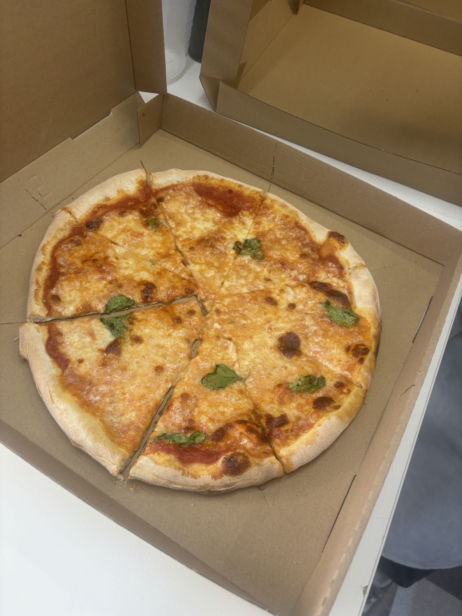 Classic margherita pizza